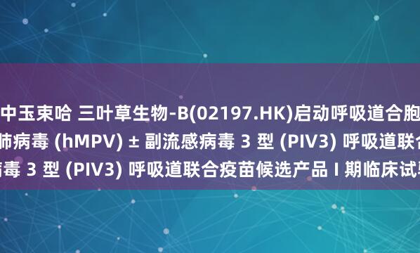 中玉束哈 三叶草生物-B(02197.HK)启动呼吸道合胞病毒 (RSV) + 人偏肺病毒 (hMPV) ± 副流感病毒 3 型 (PIV3) 呼吸道联合疫苗候选产品 I 期临床试验