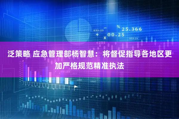 泛策略 应急管理部杨智慧：将督促指导各地区更加严格规范精准执法