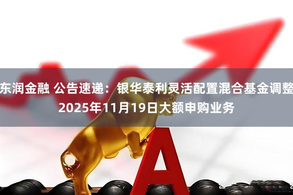 东润金融 公告速递:银华泰利灵活配置混合基金调整2025年11月19日大额申购业务