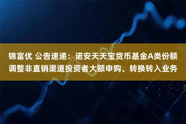 锦富优 公告速递:诺安天天宝货币基金A类份额调整非直销渠道投资者大额申购、转换转入业务