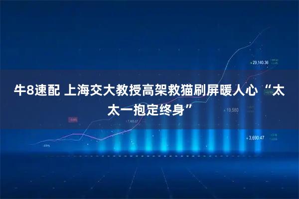牛8速配 上海交大教授高架救猫刷屏暖人心 “太太一抱定终身”